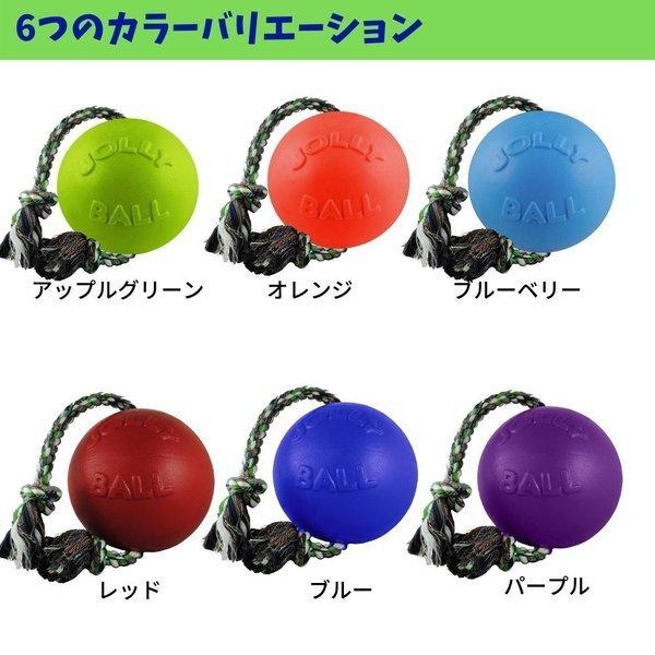 Jolly Pets 犬用 おもちゃ ボール 20cm Lサイズ パンク知らずで丈夫
