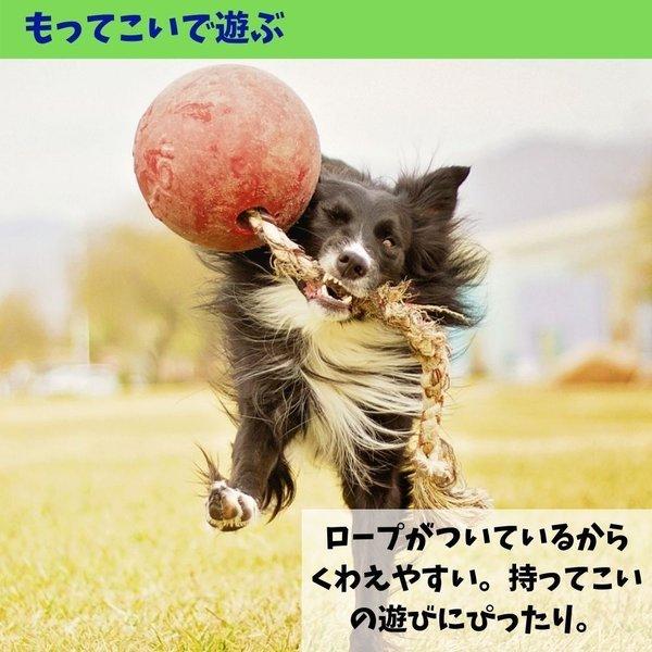 犬用 おもちゃ ボール cm Lサイズ パンク知らずで丈夫 ロープつきジョリーボール ロンプンロール Jolly Romp L オジコペット 通販 Yahoo ショッピング