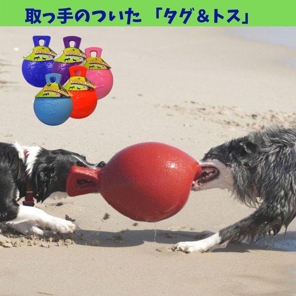 Jolly Pets 犬用 おもちゃ ボール 15cm Mサイズ パンク知らずで丈夫