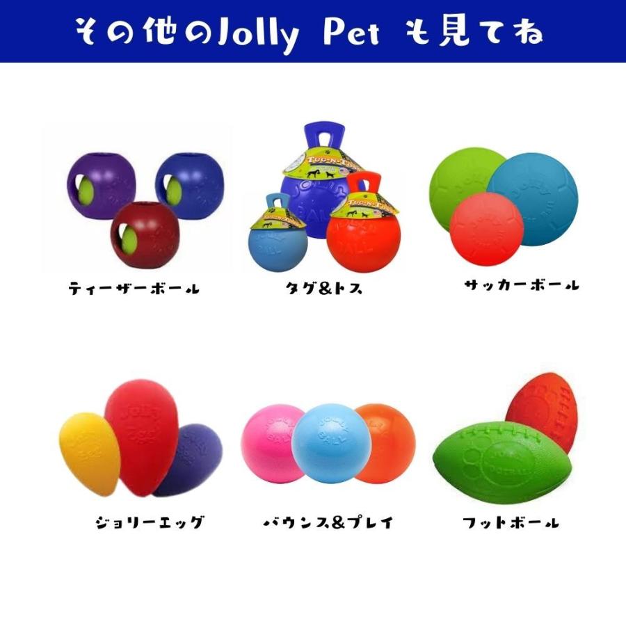 犬用 サッカーボール 8インチ  20cm おもちゃ  ジョリーペッツ Jolly Pets オーシャンブルー｜ojicopet｜12
