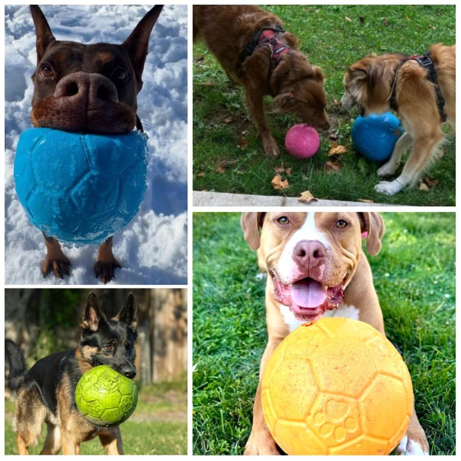 犬用 サッカーボール 8インチ 20cm おもちゃ ジョリーペッツ Jolly