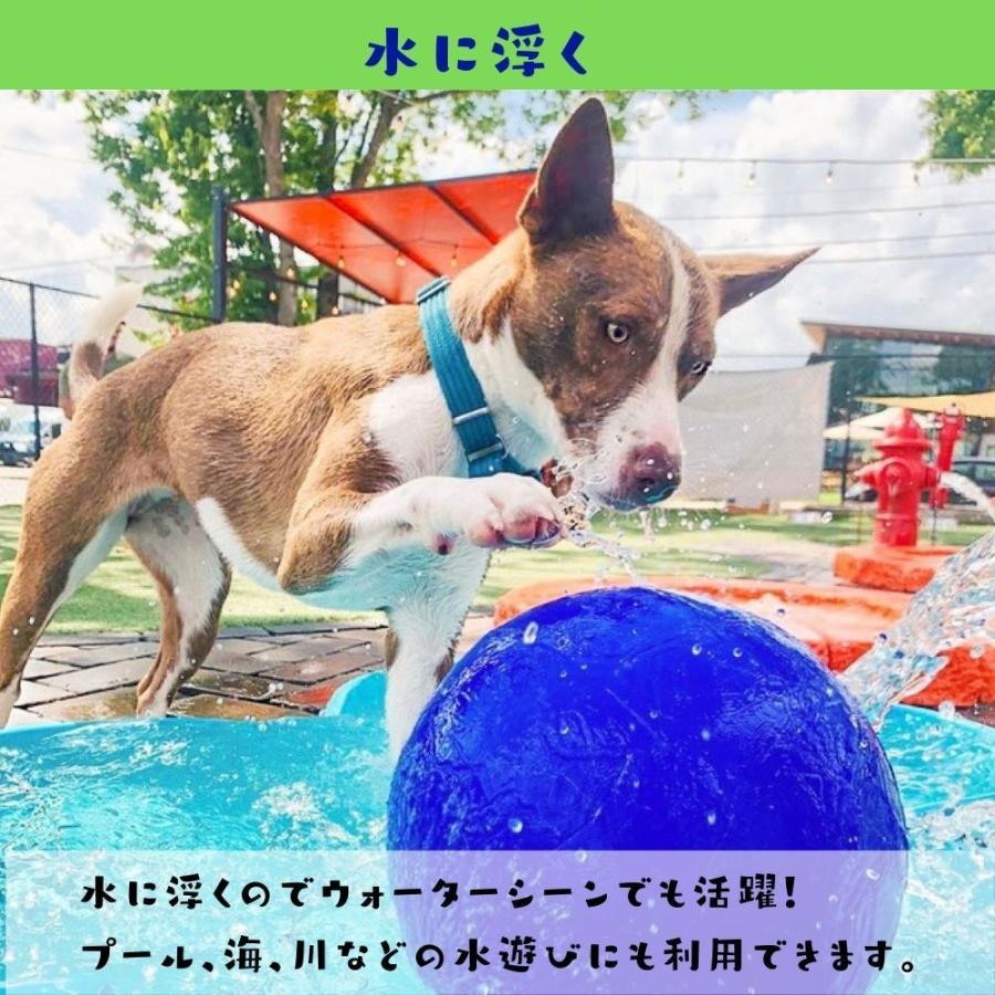 犬用 サッカーボール 8インチ  20cm おもちゃ  ジョリーペッツ Jolly Pets オーシャンブルー｜ojicopet｜06