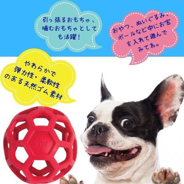 ジャンボサーカスボール45cm 持ち手つき 知育玩具ジャンボボール全犬種・猫対応 犬用 ボール ホーリーローラー [ジャンボ] おもちゃ ゴム トリーツ