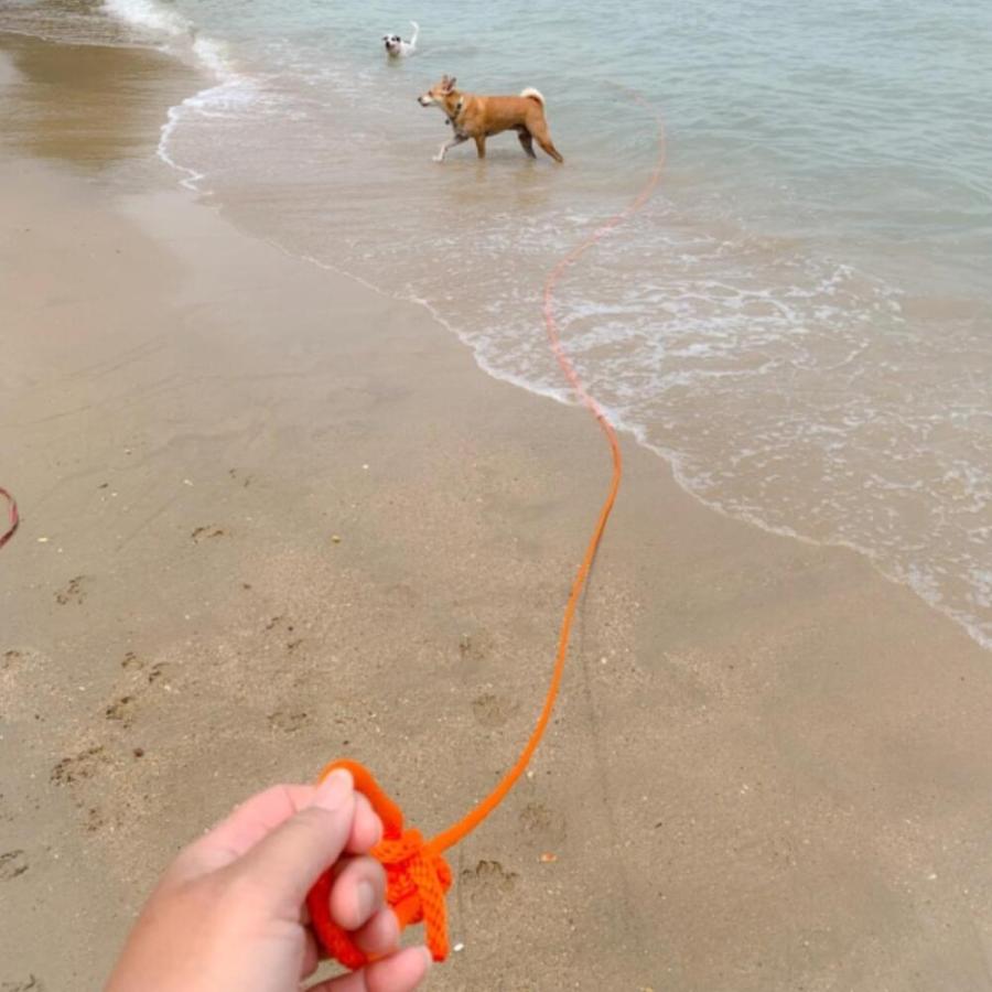 スーパーコード 30 ハイビズ イエロー チェックコード トレーニングリード ロングリード 長い 長め 犬用 水に浮く ロープ ナイロン Mendota メンドータの画像