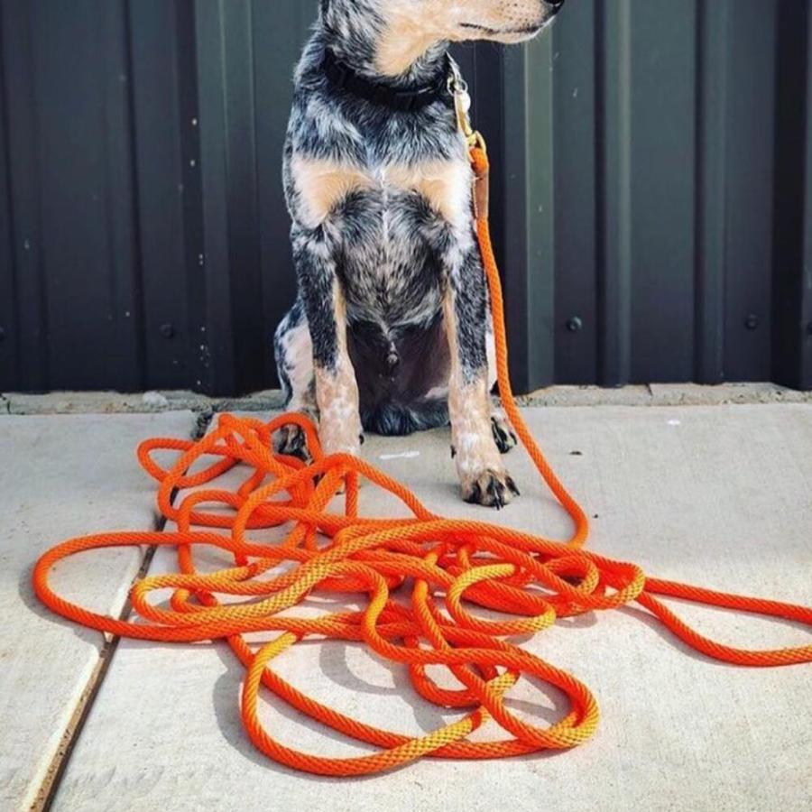 スーパーコード 30 ハイビズ イエロー チェックコード トレーニングリード ロングリード 長い 長め 犬用 水に浮く ロープ ナイロン Mendota メンドータの画像