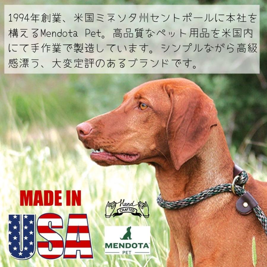 犬用 スリップリード 防水 チョークカラー ロープ (全長183cm/太さ1cm