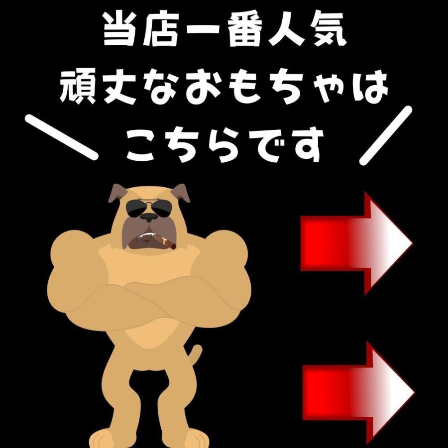 犬用 首輪 スリップカラー チョークカラー Mendota メンドータ 引っ張り防止 吠え防止 トレーニング｜ojicopet｜09