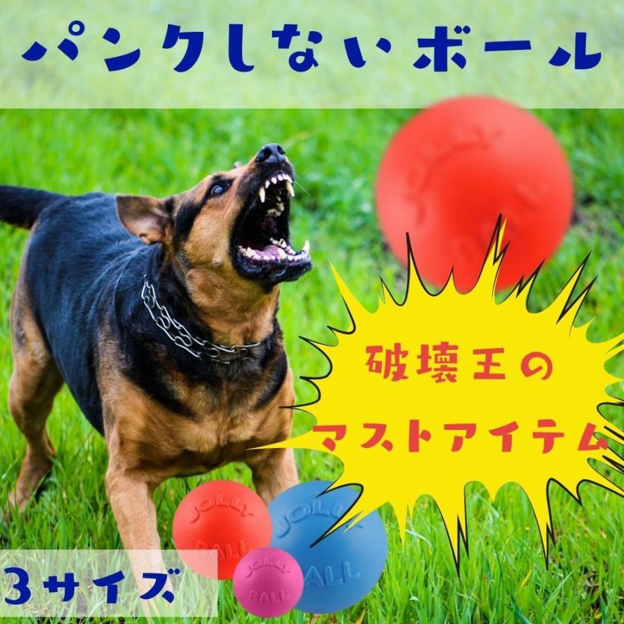 犬用 首輪 スリップカラー チョークカラー Mendota メンドータ 引っ張り防止 吠え防止 トレーニング｜ojicopet｜10