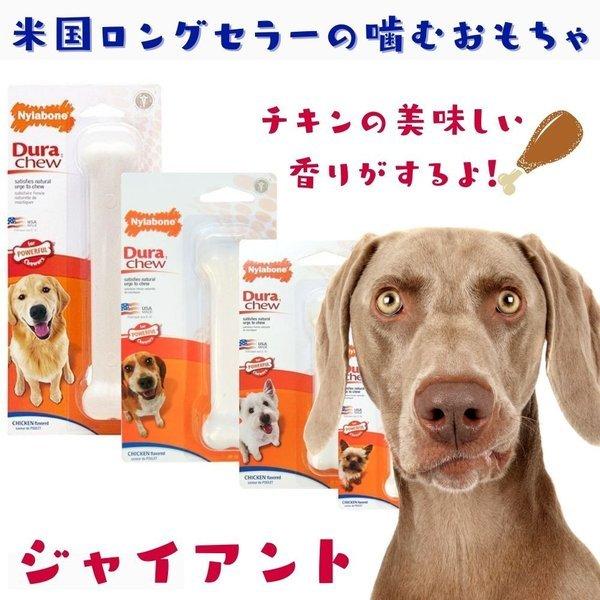 Nylabone ナイラボーン 犬用 噛むおもちゃ 骨型 ボーン パワーチュー Durachew Chicken Giant チキンフレーバー 不安 ストレス 解消 中型犬 大型犬 Ncf104p Ncf104 オジコペット 通販 Yahoo ショッピング