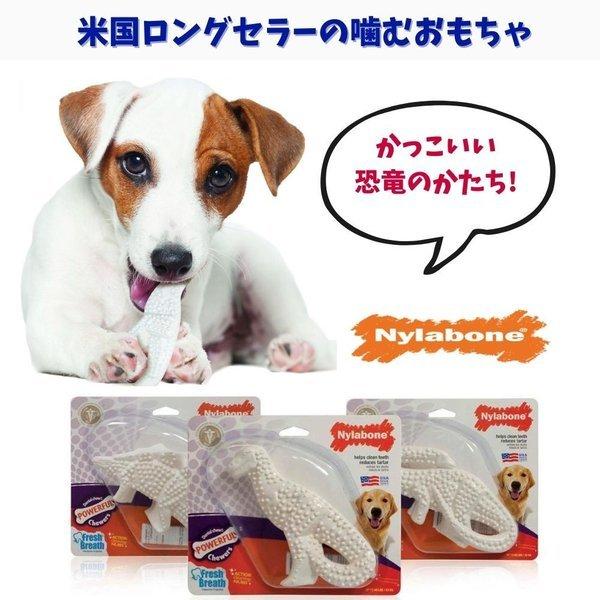 Nylabone ナイラボーン 犬用 噛むおもちゃ ダイナソー 恐竜 パワーチュー  チキンフレーバー 不安 ストレス 解消 中型犬 大型犬 NDD101P｜ojicopet