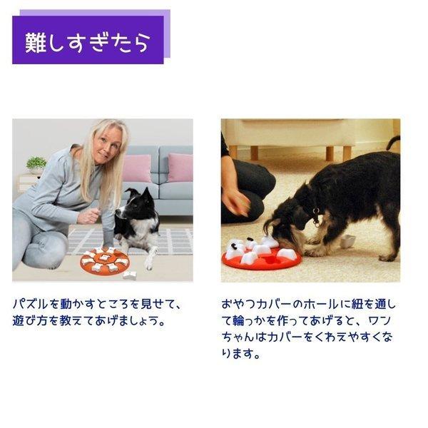 ノーズワーク 知育玩具 パズル 犬用 おもちゃ おやつ探し 洗える