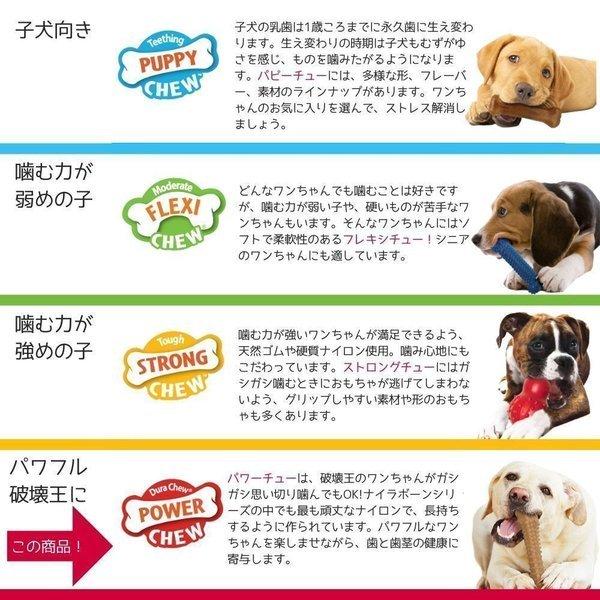Nylabone ナイラボーン 犬用 噛むおもちゃ 骨型 パワーチュー エクストリーム ピーナッツバター 不安 ストレス 解消 チキンフレーバー スーパー Npb105p Npb105p オジコペット 通販 Yahoo ショッピング
