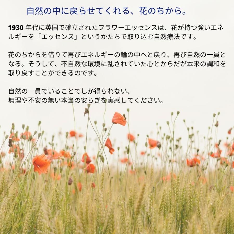 ベネディクションフォルテ FESフラワーエッセンス ロールオン