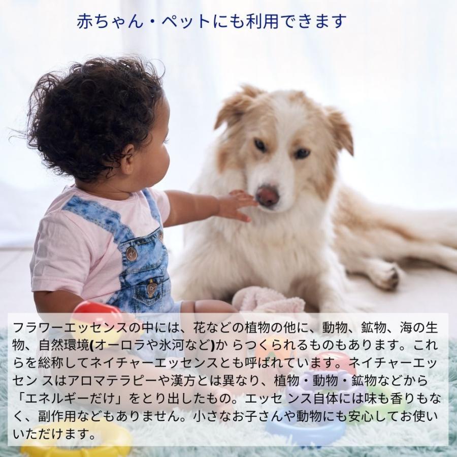 ベネディクションフォルテ FESフラワーエッセンス ロールオン