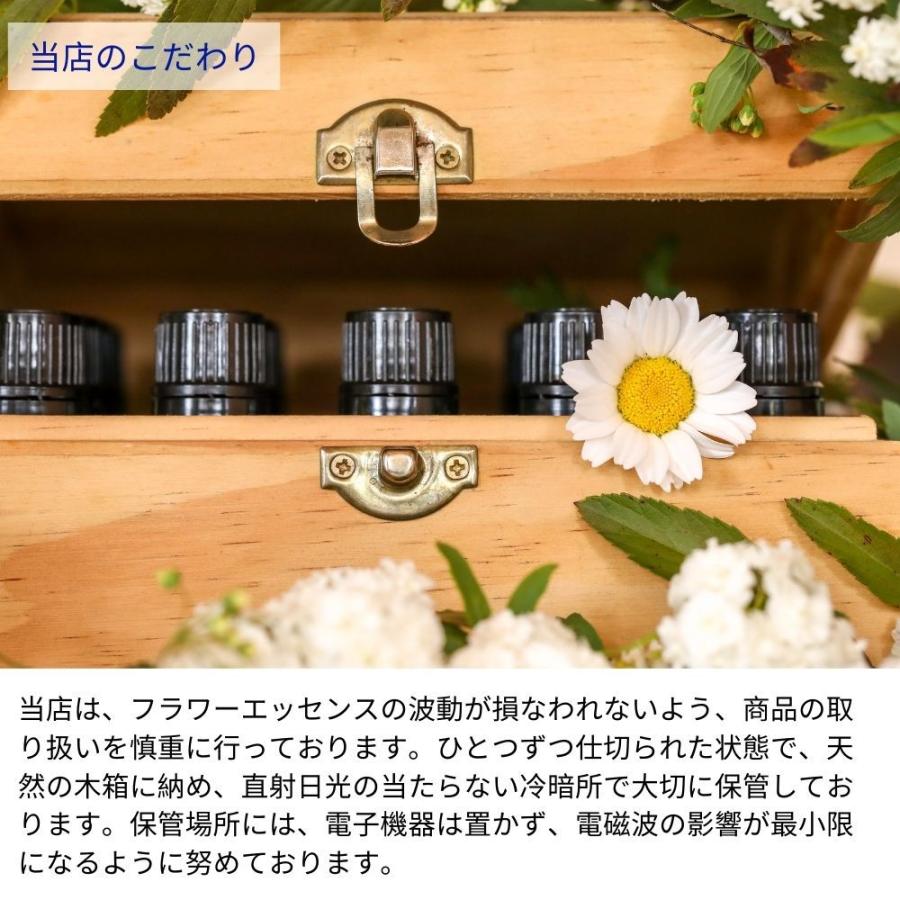 アバンダンスエッセンス パシフィックエッセンス フラワーエッセンス