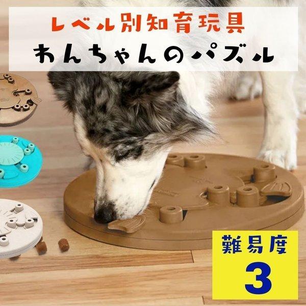 ランキング1位獲得 カラー剤 Web限定 Kotsadoroiladas Gr