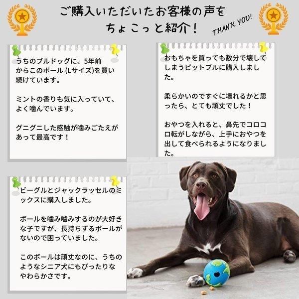 Planet Dog 犬 おもちゃ 小型犬 弾力 噛みごたえのある犬用ボール 地球 プラネットドッグ 米国 Sサイズ Planetdog Planetball S オジコペット 通販 Yahoo ショッピング