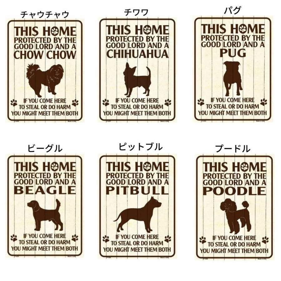 ナノブロック 犬 動物 子供用 人気 キャラクター ビーグル セントバーナード 通販 ナノブロック 犬 動物 子供用 人気 キャラクター ビーグル セントバーナード