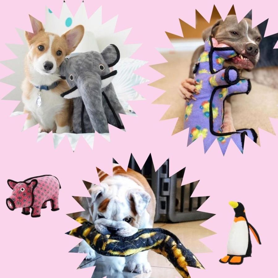 タフィーズ トリケラトプス 恐竜 レギュラー 犬用 おもちゃ ぬいぐるみ