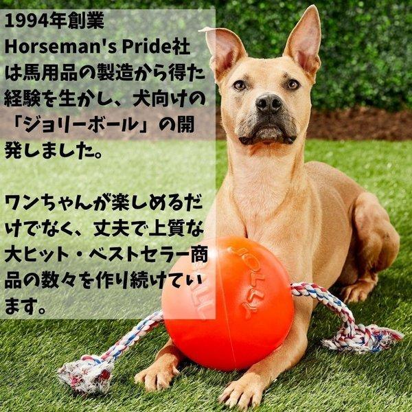 Jolly Pets L 20.32cm ジョリーペット パンク知らずのタグ&トス Tug