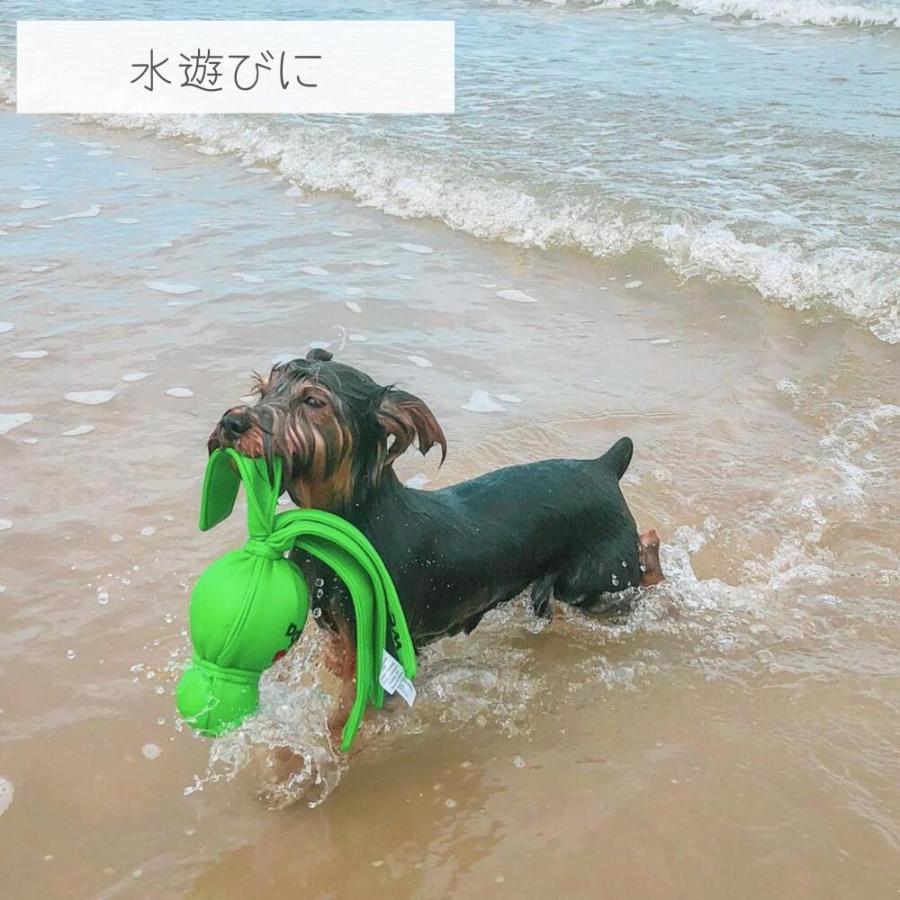 犬用 ボール コングウァバ ウバ [アニマル/Sサイズ] 丈夫 ナイロン 噛むおもちゃ 人気 小型犬 大型犬 中型犬 柴犬 かわいい 人気 テニスボール KONG Wubba｜ojicopet｜08