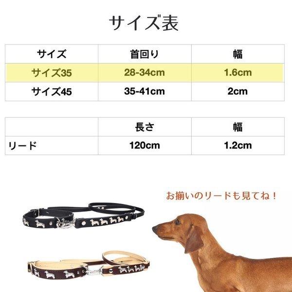 ZOOleszcz ゾーレシチ 犬用 首輪 首回り: 28-34cm 幅: 1.6cm ダックス
