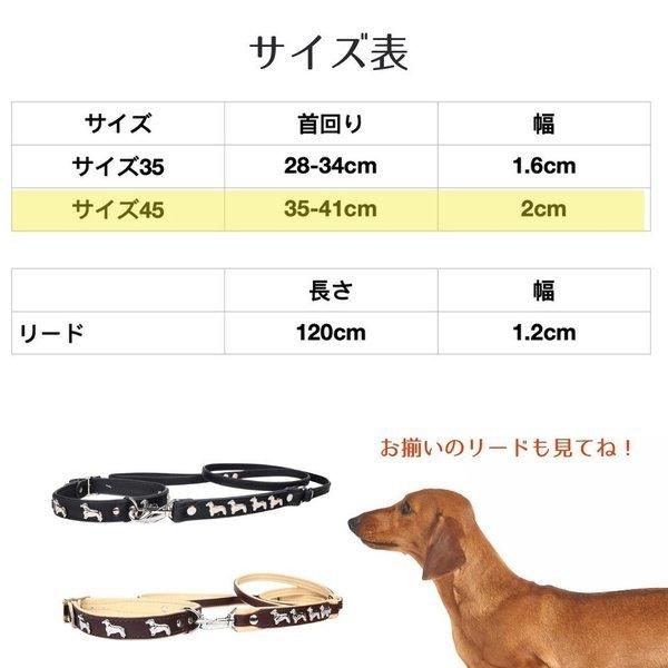 ZOOleszcz ゾーレシチ 犬用 首輪 首回り: 35-41cm  幅: 2cm ダックスフンドのデザイン 本革 革製 ミニチュアダックス 【399】｜ojicopet｜03