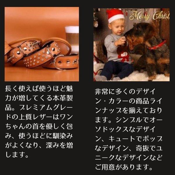 Zoolezcz ゾーレシチ 本革 短引き用 ショートリード 大型犬 中型犬