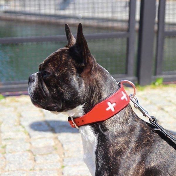 本革 ハンドメイド 犬用 首輪 上質 スイス 十字 レザー インポート