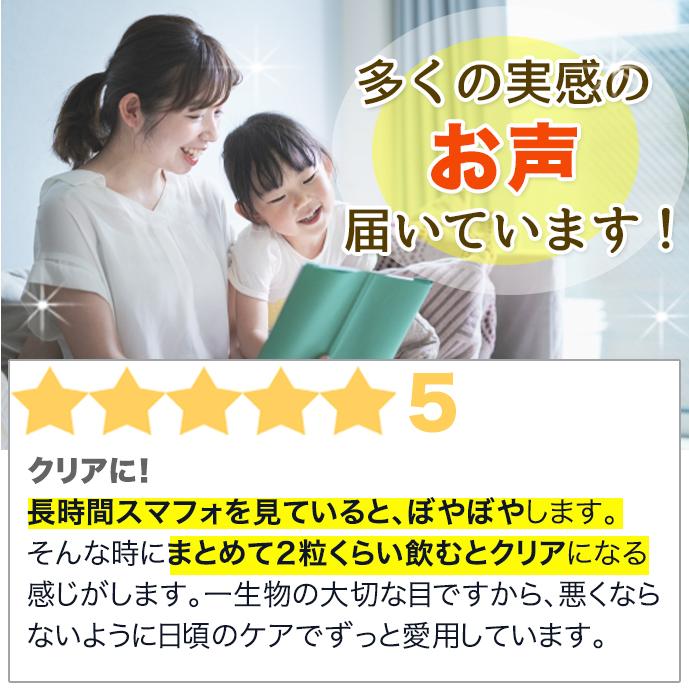 アントシアニン ビルベリー カシス ポリフェノール 水素配合 長時間持続 EYESサポートキラキラ水素30入 特許製法 及川胤昭 |  | 04