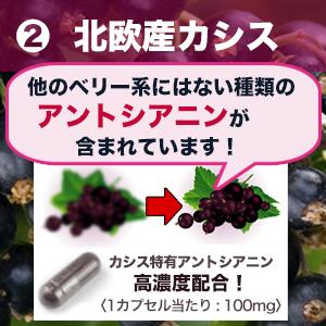 アントシアニン ビルベリー カシス ポリフェノール 水素配合 長時間持続 EYESサポートキラキラ水素30入 特許製法 及川胤昭 |  | 07