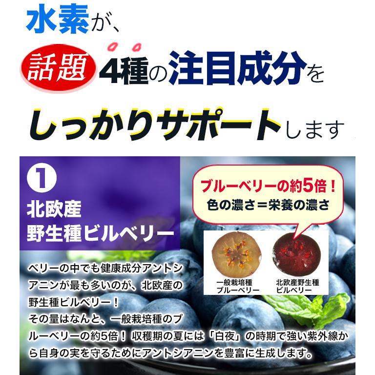 アントシアニン ビルベリー カシス ポリフェノール 水素配合 長時間持続 EYESサポートキラキラ水素120入 特許製法 及川胤昭 |  | 06
