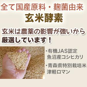 3袋セット 有機マカ 生酵素 マカ酵素60包3袋 麹菌 玄米酵素 砂糖不使用 非加熱酵素  妊活 玄米酵素 亜鉛 ミネラル 国産 |  | 15