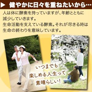 3袋セット 有機マカ 生酵素 マカ酵素60包3袋 麹菌 玄米酵素 砂糖不使用 非加熱酵素  妊活 玄米酵素 亜鉛 ミネラル 国産 |  | 05