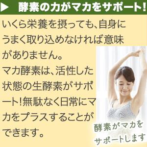 3袋セット 有機マカ 生酵素 マカ酵素60包3袋 麹菌 玄米酵素 砂糖不使用 非加熱酵素  妊活 玄米酵素 亜鉛 ミネラル 国産 |  | 07