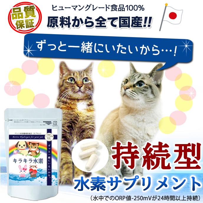 猫 水素サプリ 水素水もできる 純国産 日本製 水素サプリメント 猫 水素サプリ 水素水もできる 純国産 日本製 水素サプリメント