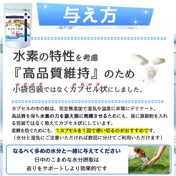 犬用 持続型 水素サプリ 水素水もできる 純国産 日本製 ペット用キラキラ水素30入 高齢犬 老犬 ドッグフード SOD 特許製法｜ojk｜15