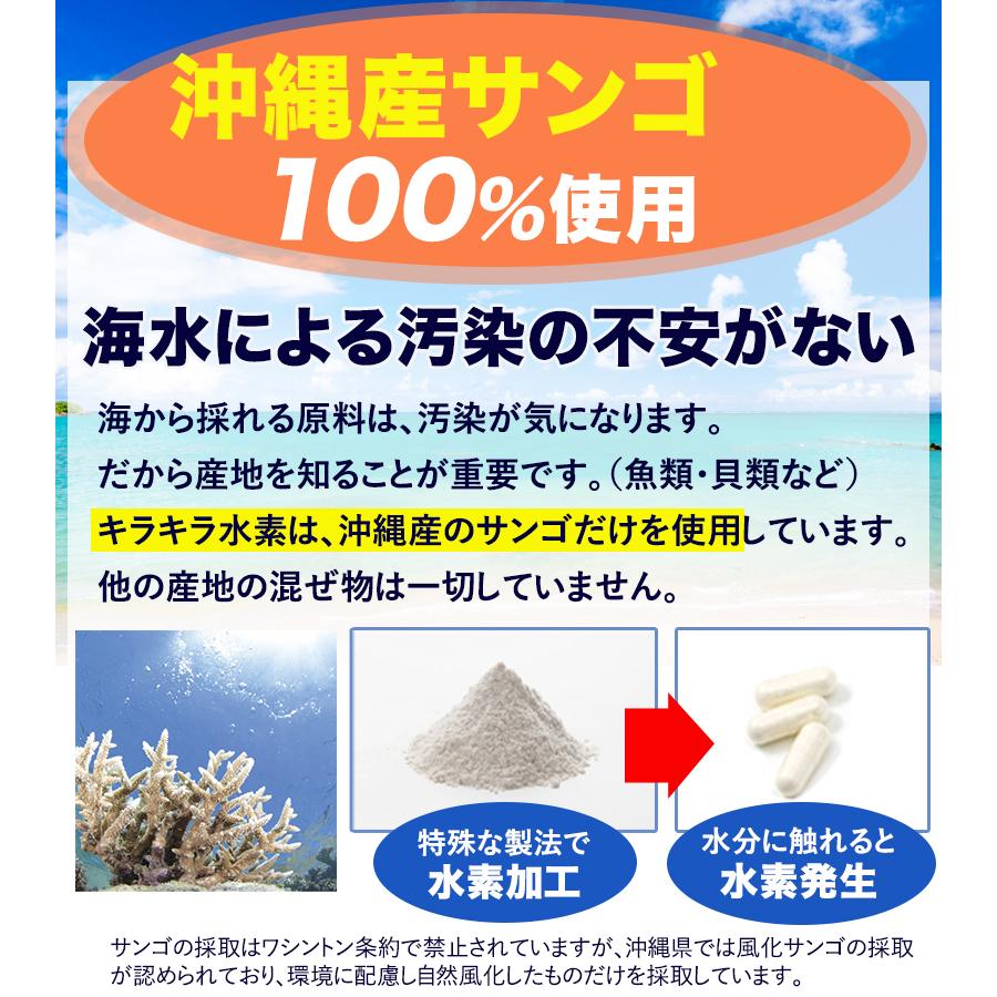 初回限定 お1人様1回限り 純国産 品質保証 水素サプリ 水素水 より持続