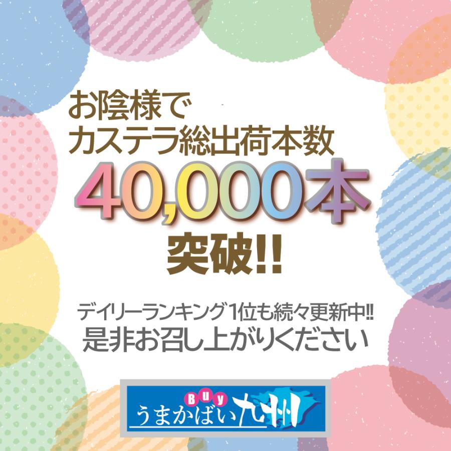 母の日 訳あり 長崎 カステラ 蜂蜜味 型崩れ 御免 特価 約400g入 送料無料 本場長崎 切り落としではありません 巣ごもり｜ok-tanaka｜02