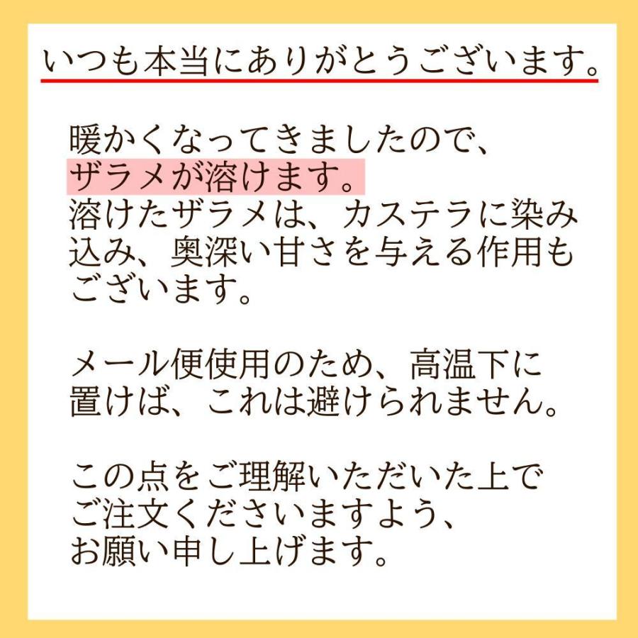 母の日 訳あり 長崎 カステラ 蜂蜜味 型崩れ 御免 特価 約600g入 送料無料 本場長崎 切り落としではありません 巣ごもり｜ok-tanaka｜04