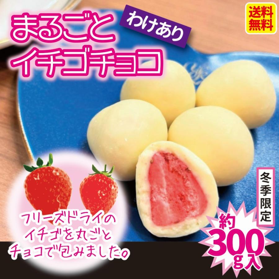 訳あり まるごと イチゴ チョコ 約300g入 ホワイトチョコレート