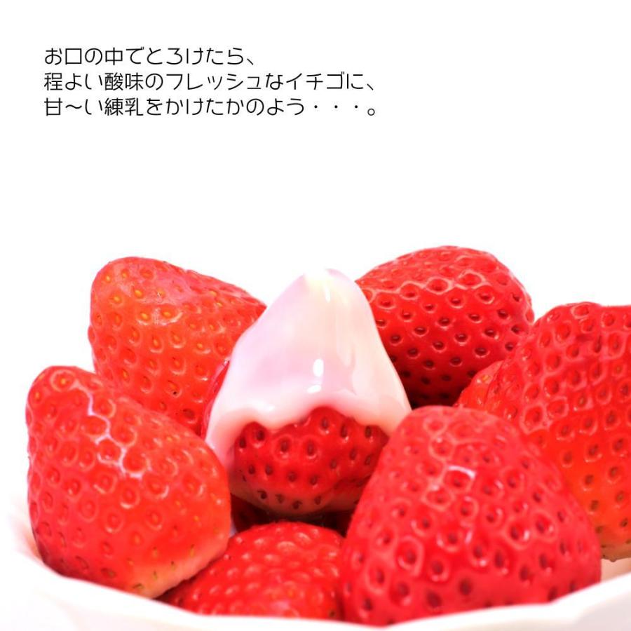 訳あり まるごと イチゴ チョコ 約300g入 ホワイトチョコレート