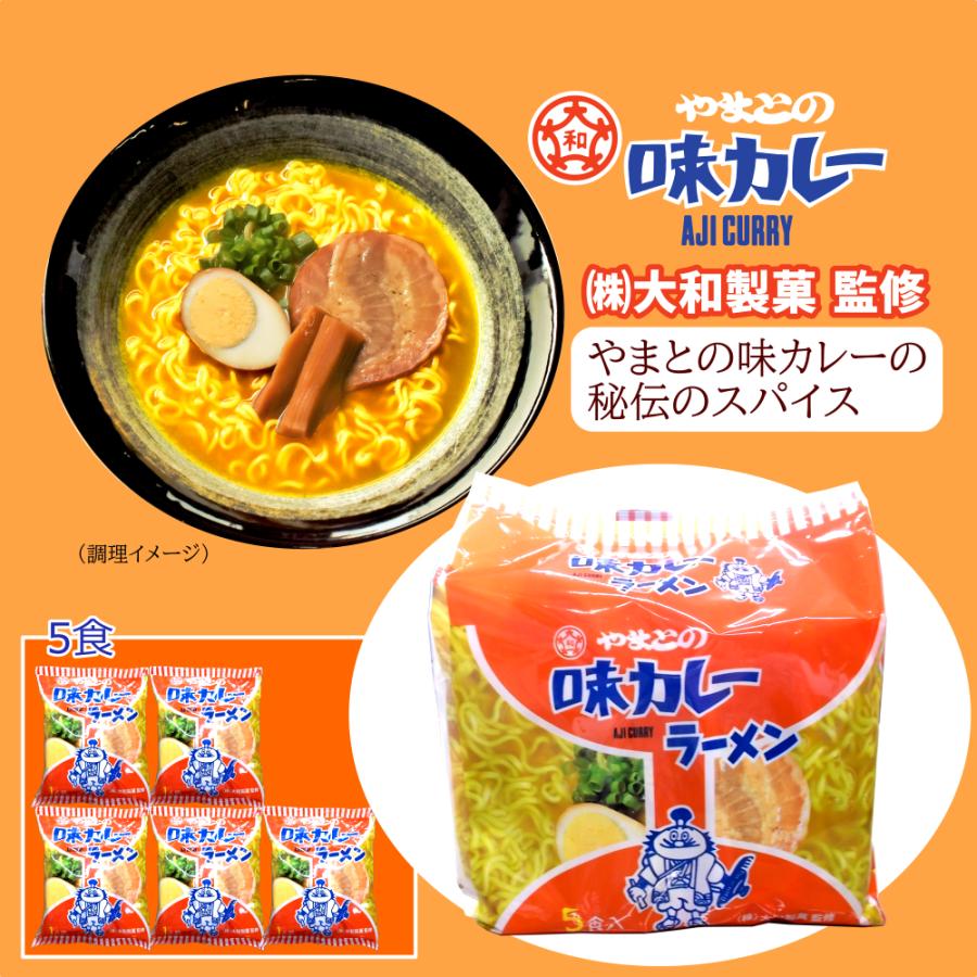 インスタント ラーメン カレー味 やまとの味カレー 5食入2袋 大和製菓
