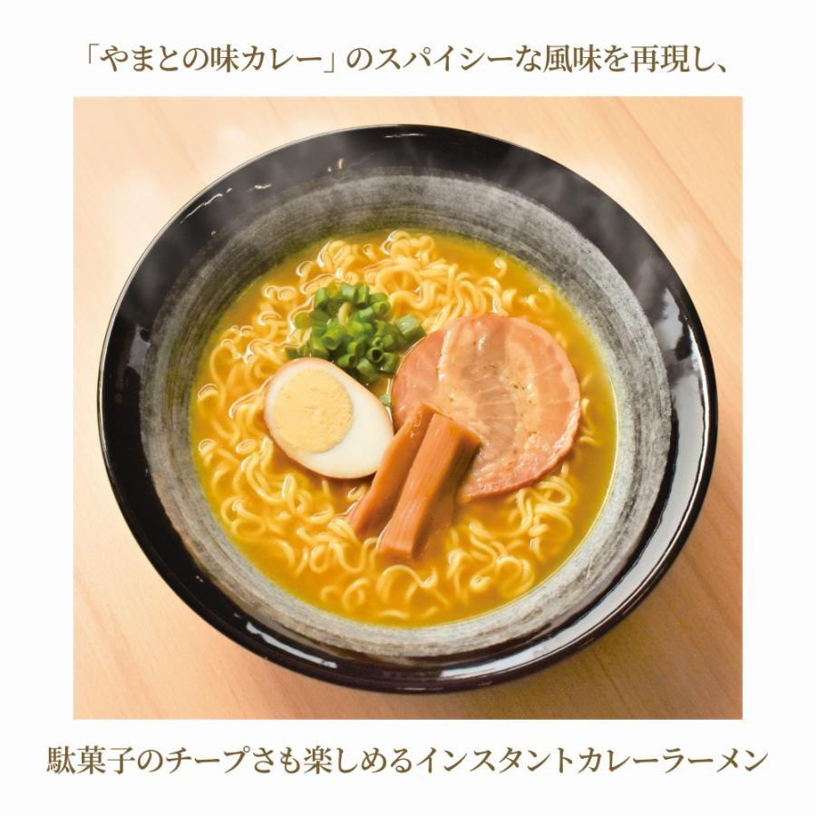 インスタント ラーメン カレー味 やまとの味カレー 5食入2袋 大和製菓