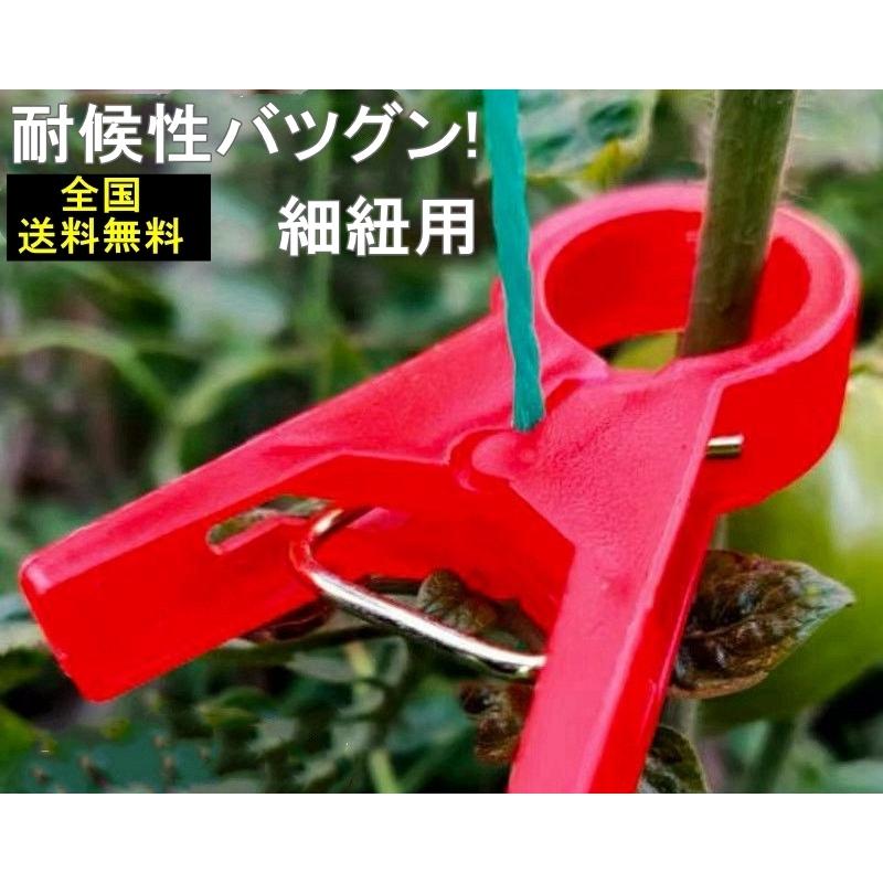 正規品ンストア １個あたり10円 00個 くきたっちアルファ パープル 細紐用 誘引 クリップ 誘引クリップ 誘引資材 誘引器具 トマト ナス パプリカ 栽培 シーム タ種 送料無料 オンライン小売業者 Foundationbts Com