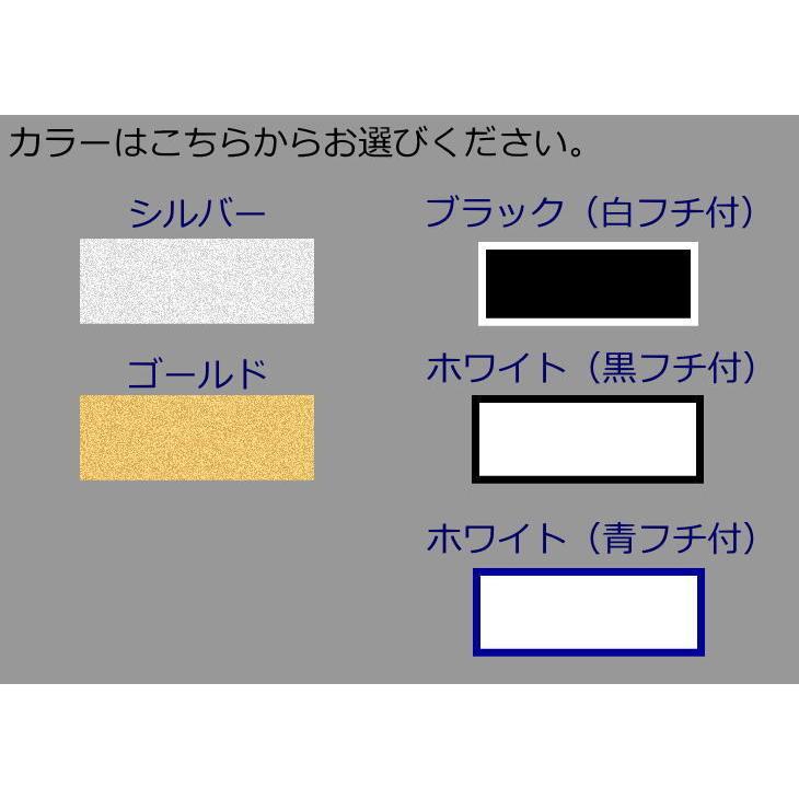 アルフ ケーゲル　ボウリングウェア　SS　フェニックス　ミント　新品 ボウリング ボウリングウェア ケーゲル フェニックス 名入れ付き