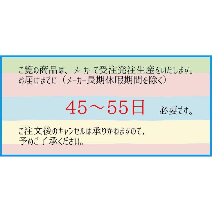 ボウリング ボウリングウェア ケーゲル オレンジ KG22-12 : OKA
