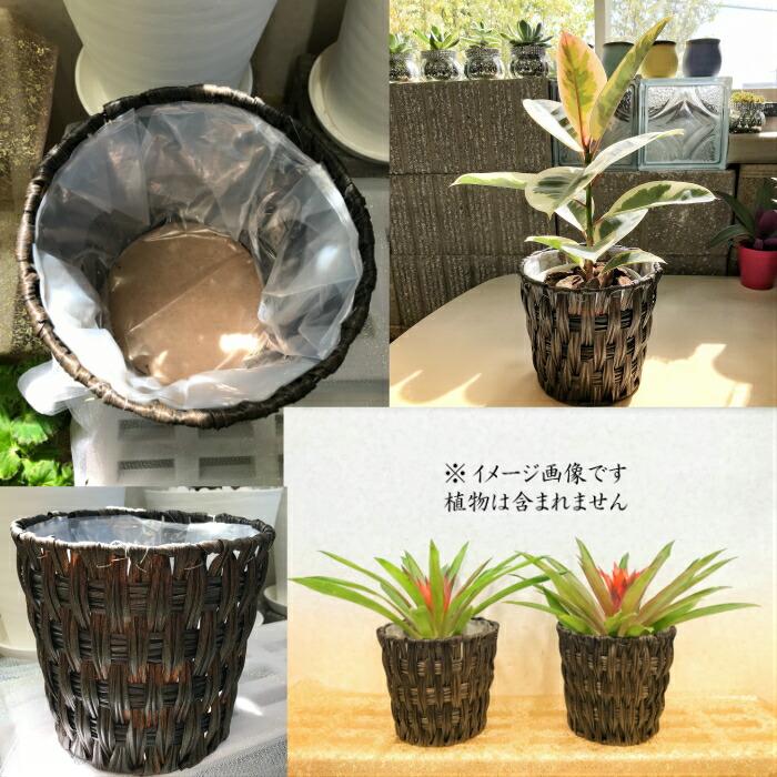 観葉植物 おしゃれ 鉢カバー 格子デザインの茶色鉢カバー 5号 内側