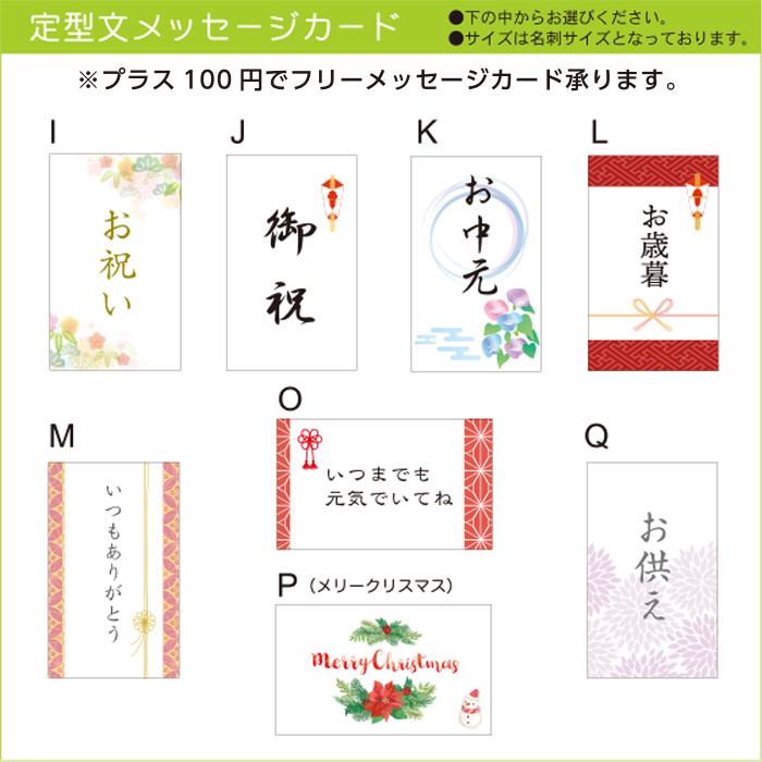 観葉植物 おしゃれ ガジュマル フィカス 白セラアート鉢 3号 ラッピング無料 ガジュマルの木 おしゃれ 人気 ギフト お祝い 誕生日 プレゼント お祝 送料無料 |  | 16