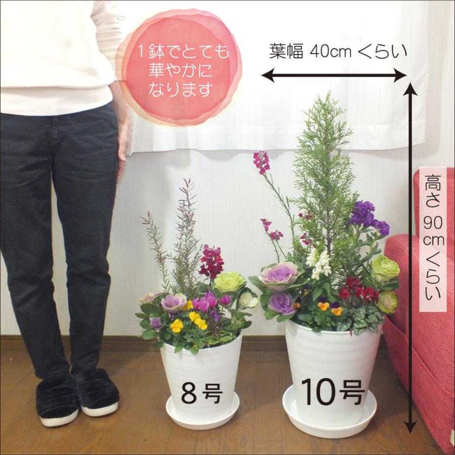 プレゼント 花 飾り 寄せ植え 玄関 10号 玄関花 セラアート 鉢 花の寄せ植え 贈り物 ギフト カーネーション バラ 誕生日プレゼント 送料無料 Hn 253 3o Okabe Green Jewery Plant 通販 Yahoo ショッピング
